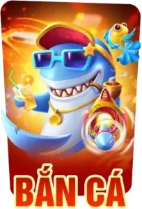 13VIN login